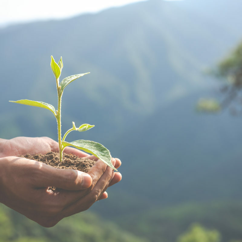 Création de banderoles Ecologie et justice climatique