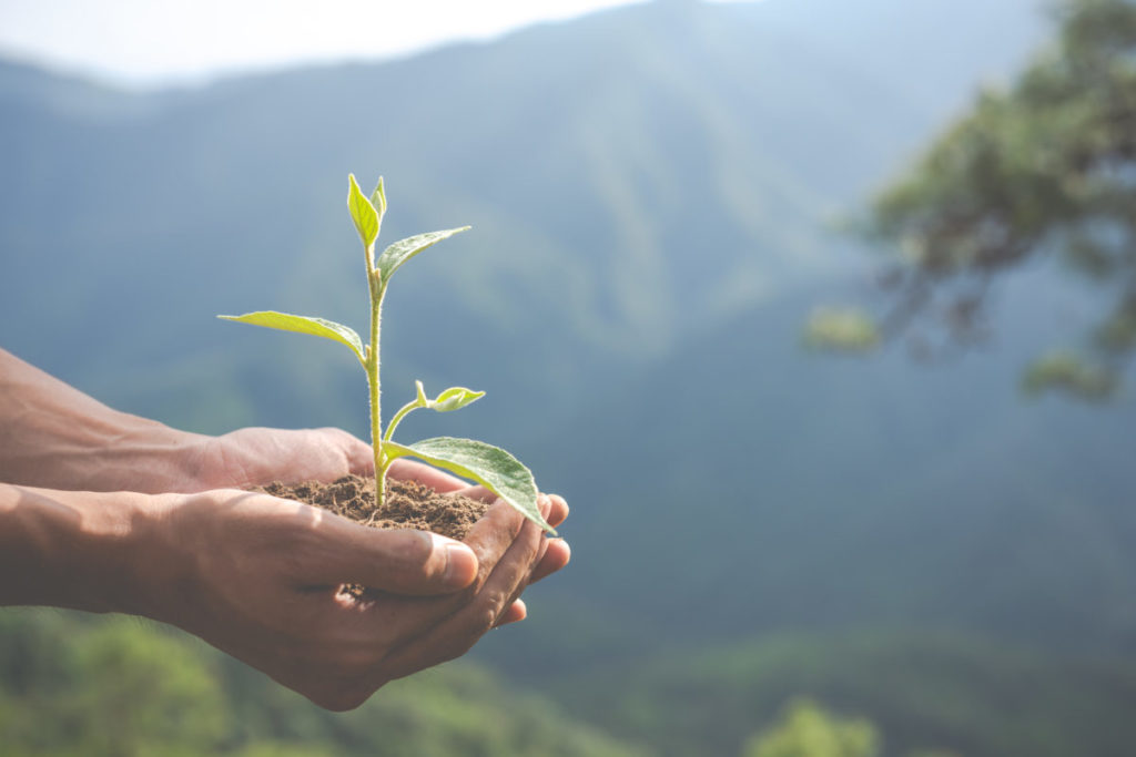 Création de banderoles Ecologie et justice climatique